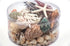 beach mix coral and seashell pack